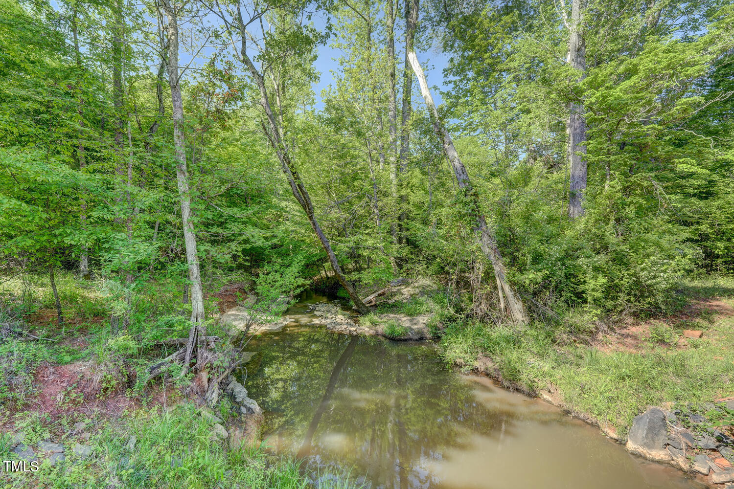 590 Gilliam Road Property Photo 41