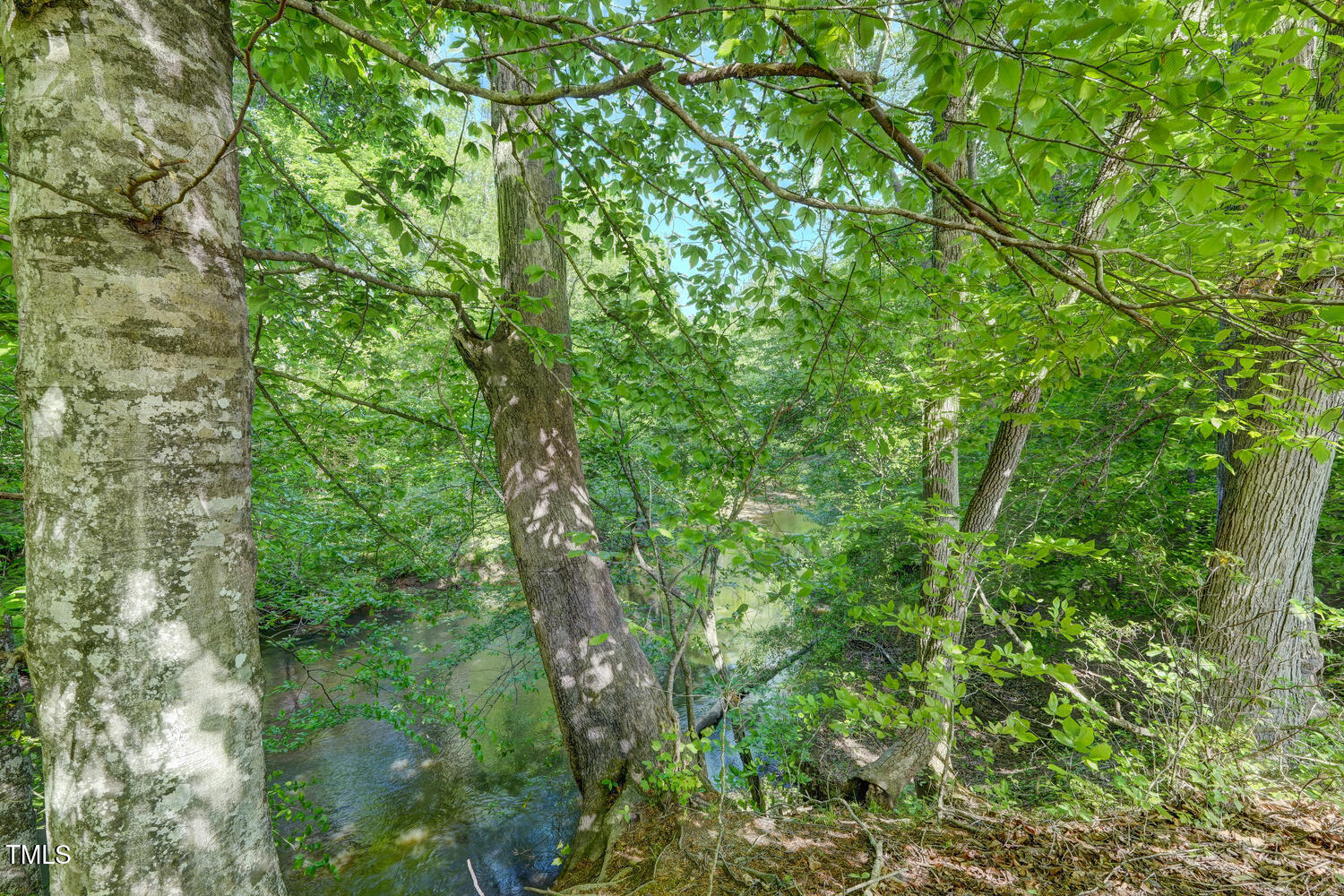 590 Gilliam Road Property Photo 47