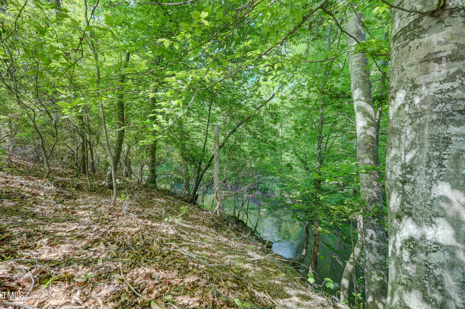 590 Gilliam Road Property Photo 48