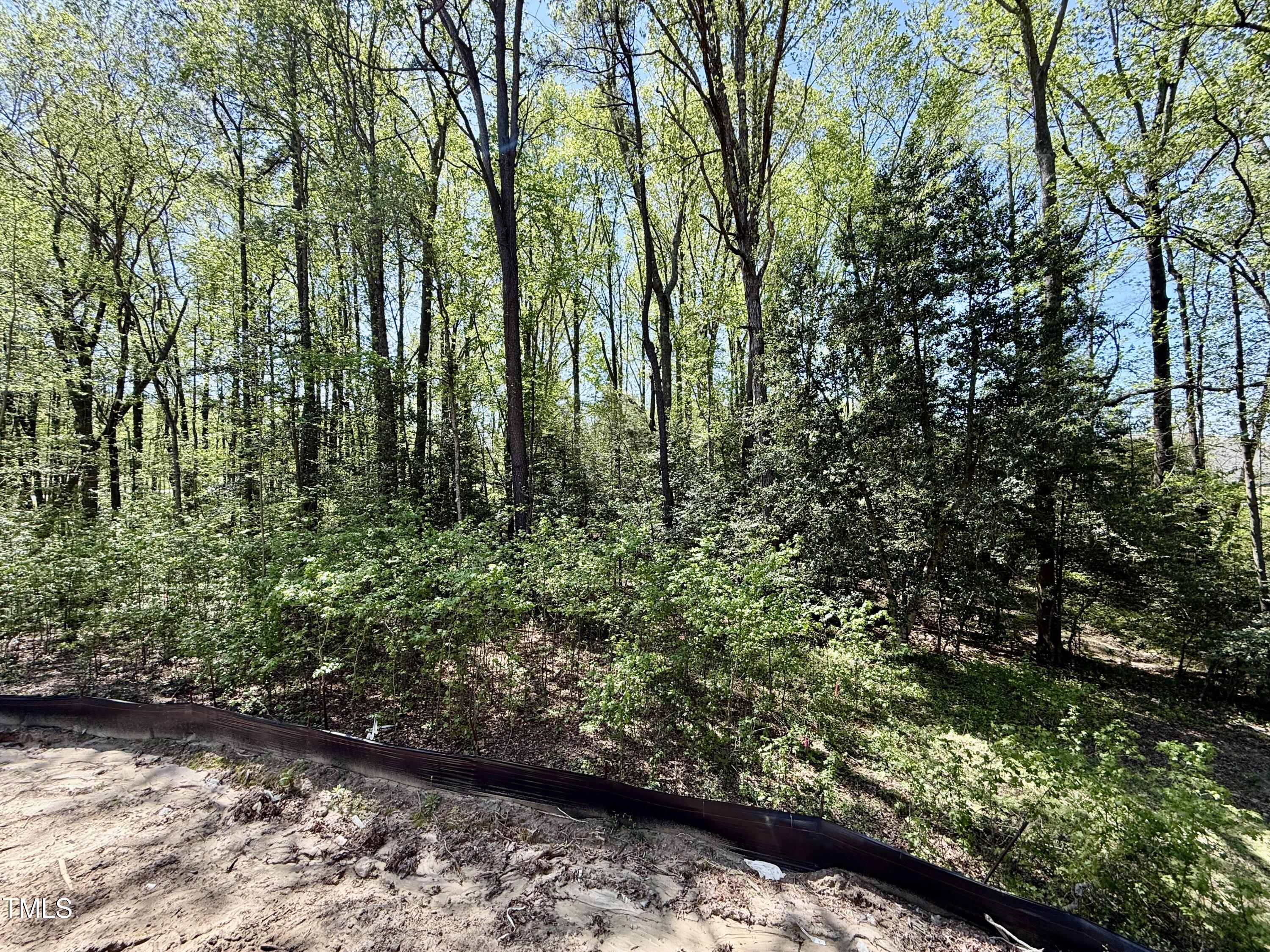 2624 Silver Gate Court Property Photo 11