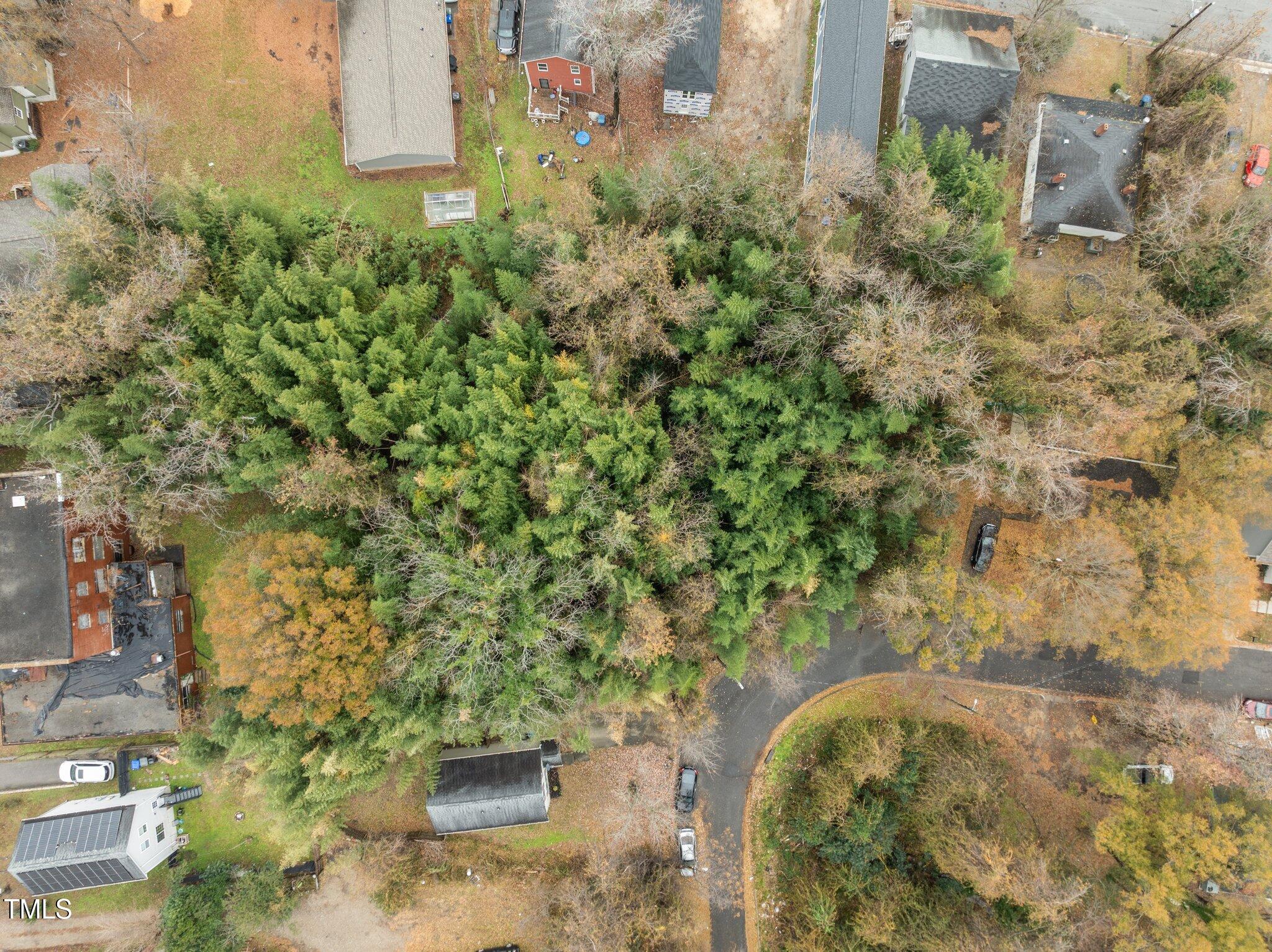1203 Avery Street Property Photo 7