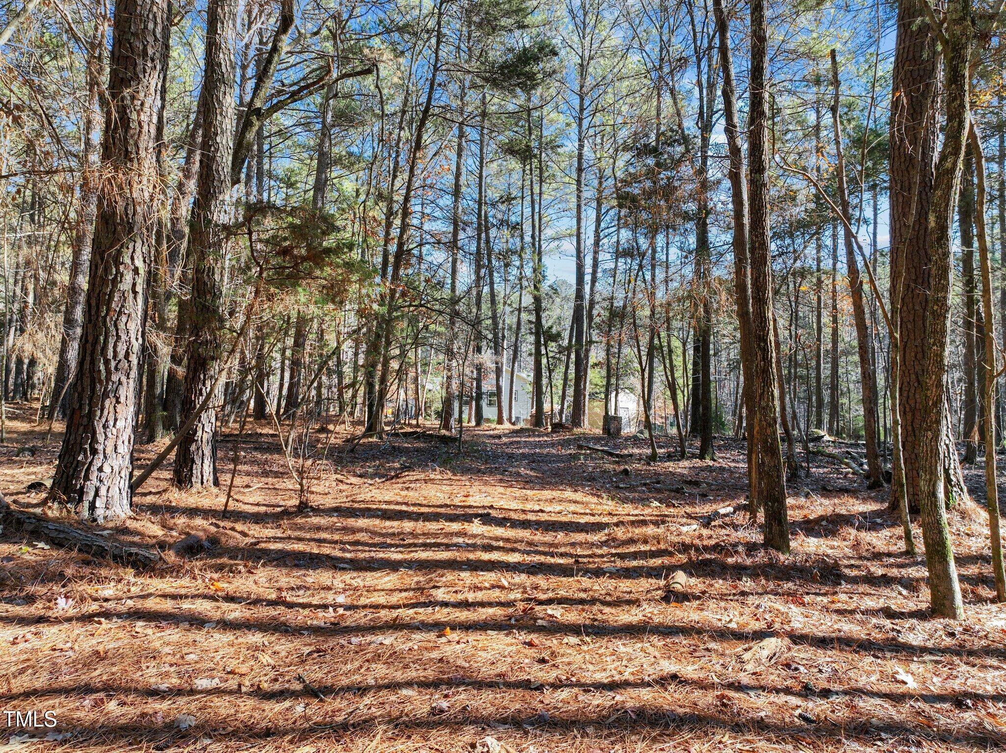 7815 Dodsons Crossroads Property Photo 43