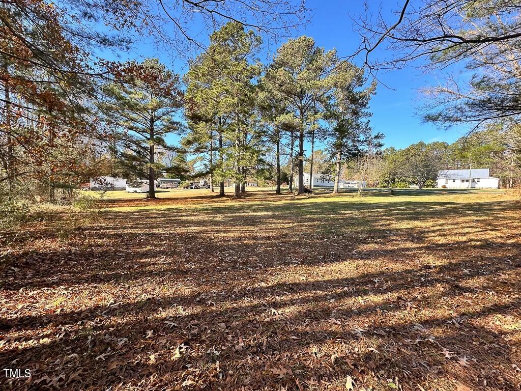 111 Elm Street Property Photo 35