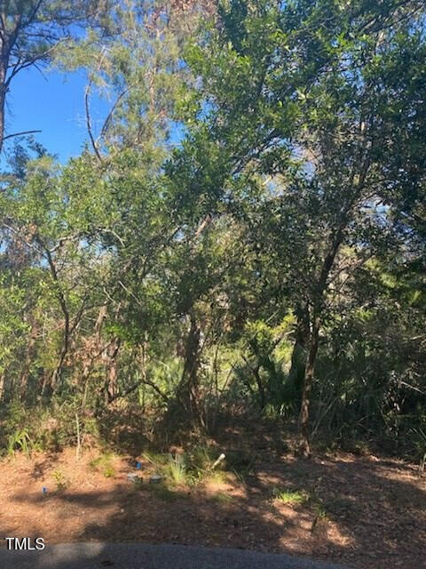 9 Laurel Cherry Court Property Photo 1