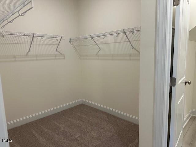 261 Kissington Way Property Photo 31