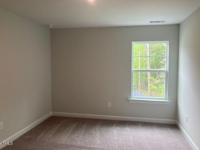 310 N Maple Walk # 236 Property Photo 30