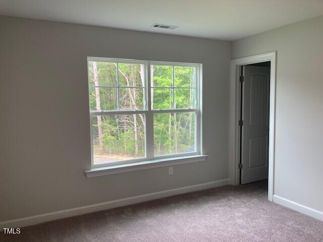 310 N Maple Walk # 236 Property Photo 35