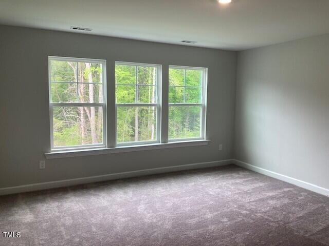 310 N Maple Walk # 236 Property Photo 37