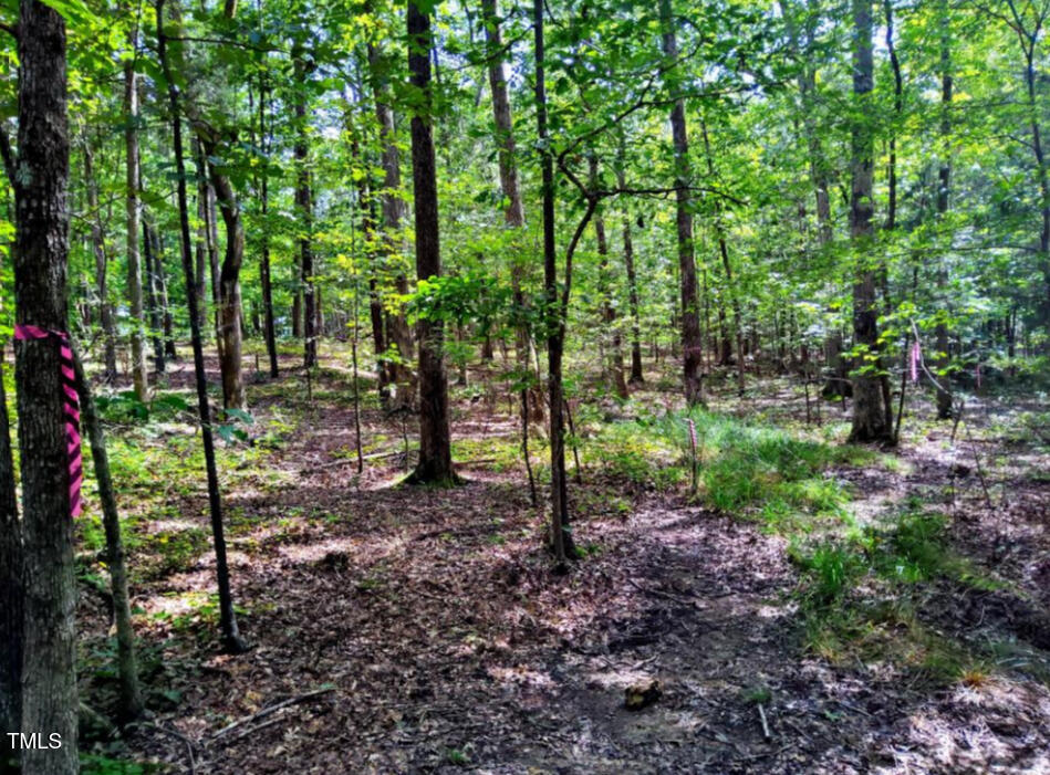 5805 Prioress Drive Property Photo 4