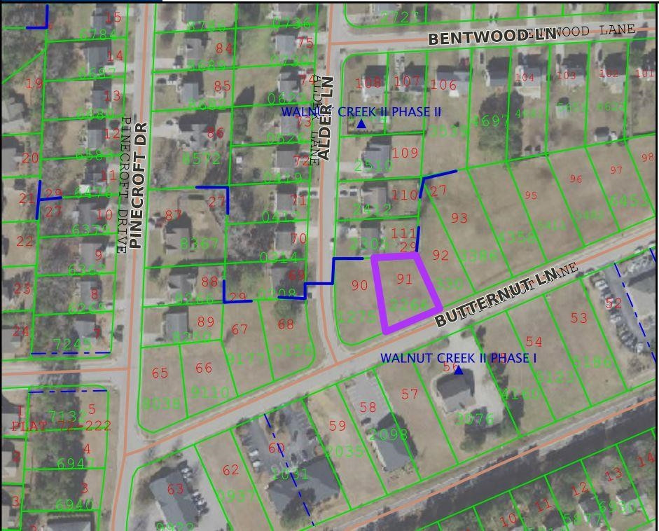 209 Butternut Lane Property Photo 1