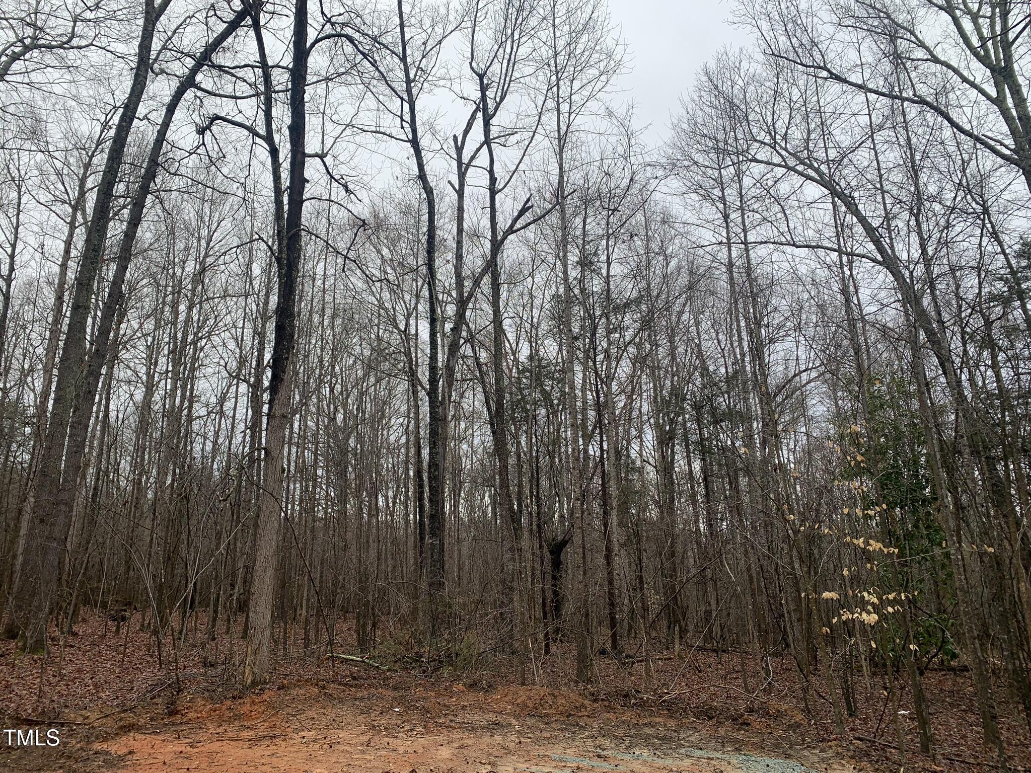 9700 Berry Road Property Photo 2