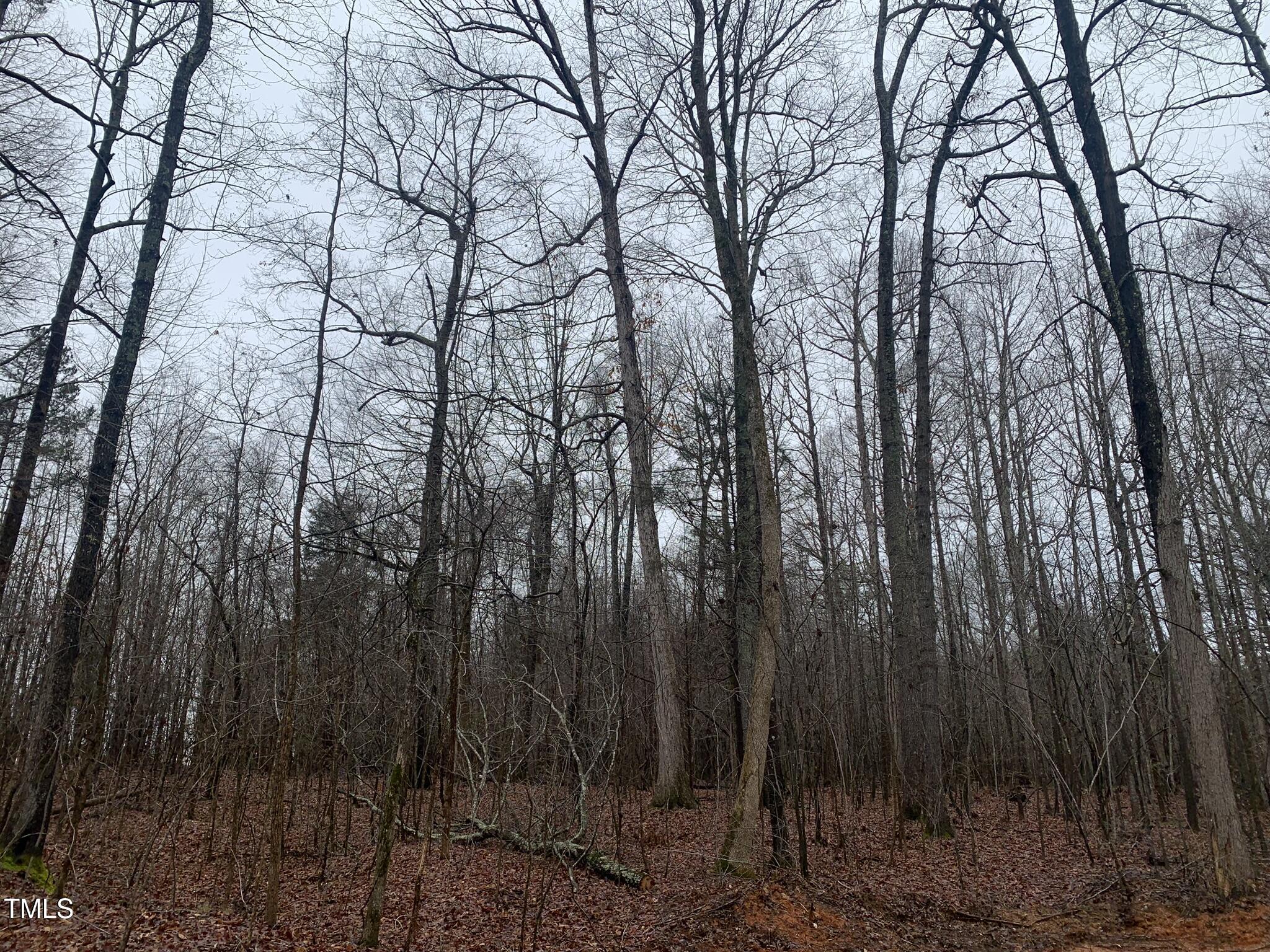 9700 Berry Road Property Photo 3