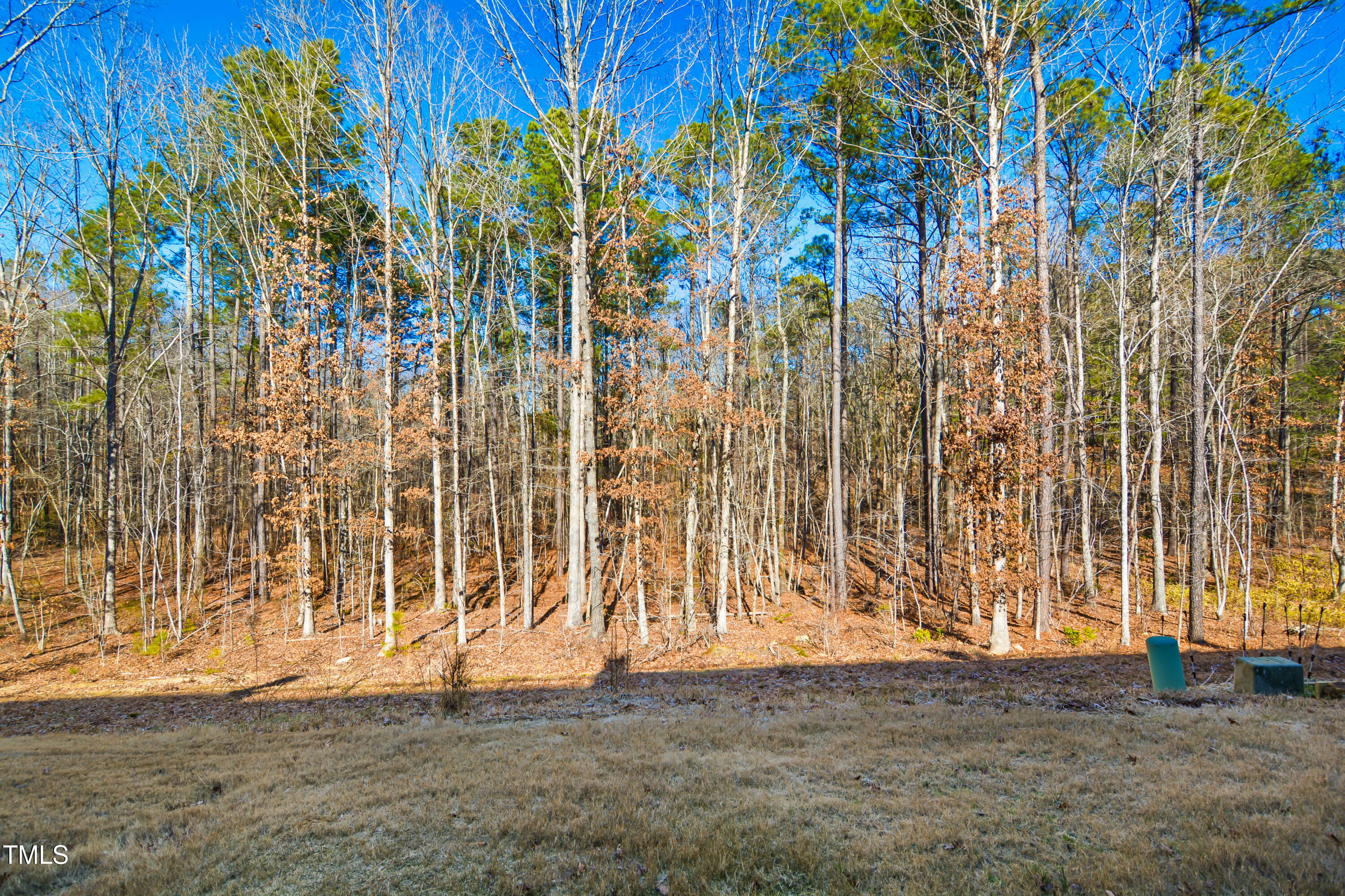 2029 Maggie Valley Drive Property Photo 29