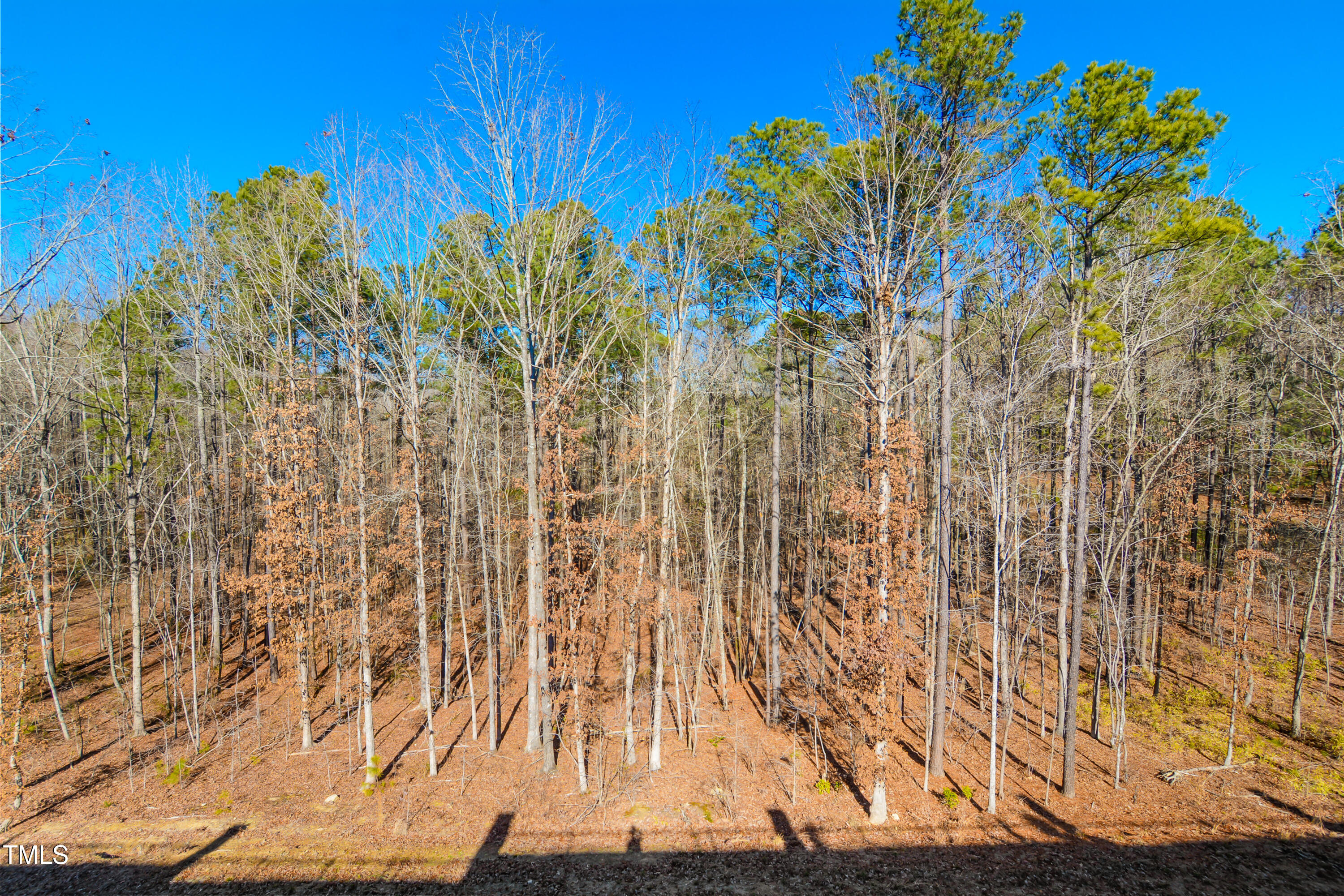2029 Maggie Valley Drive Property Photo 30