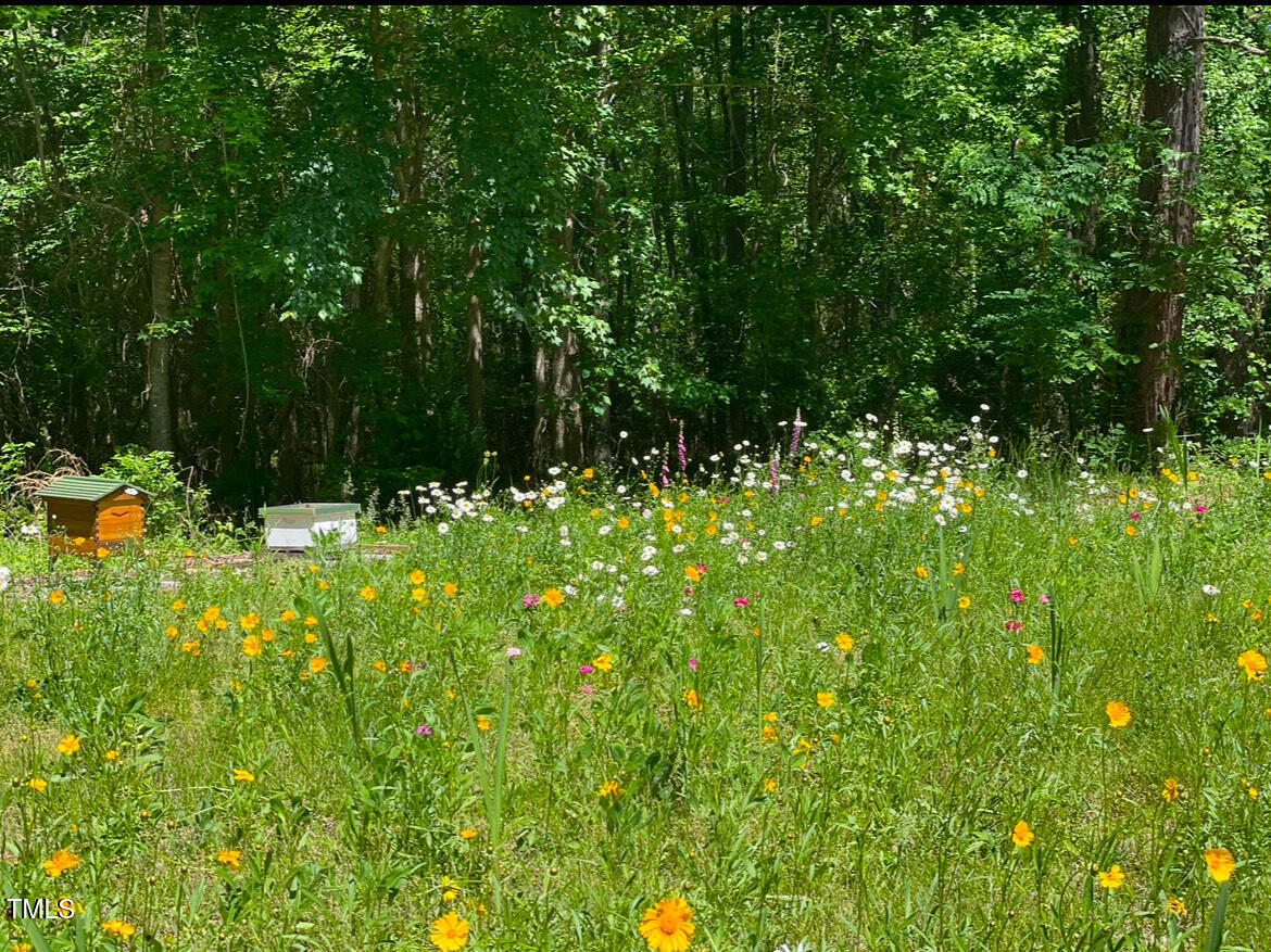 11382 Gaskill Farm Road Property Photo 40