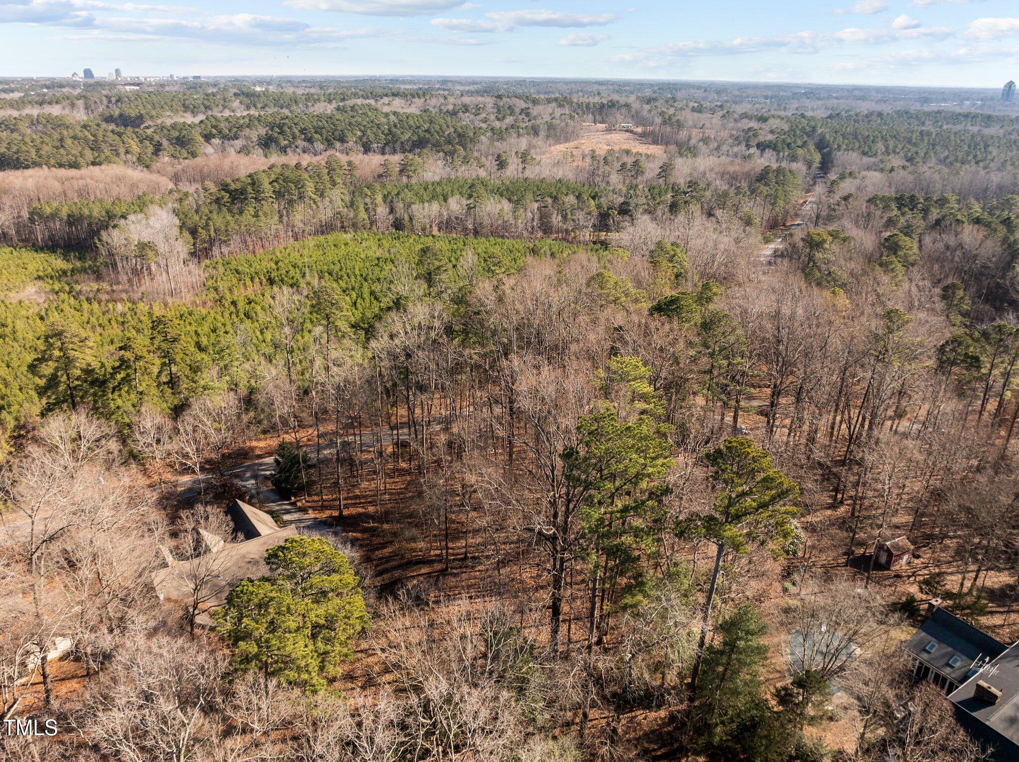 3207 W Cornwallis Road Property Photo 9