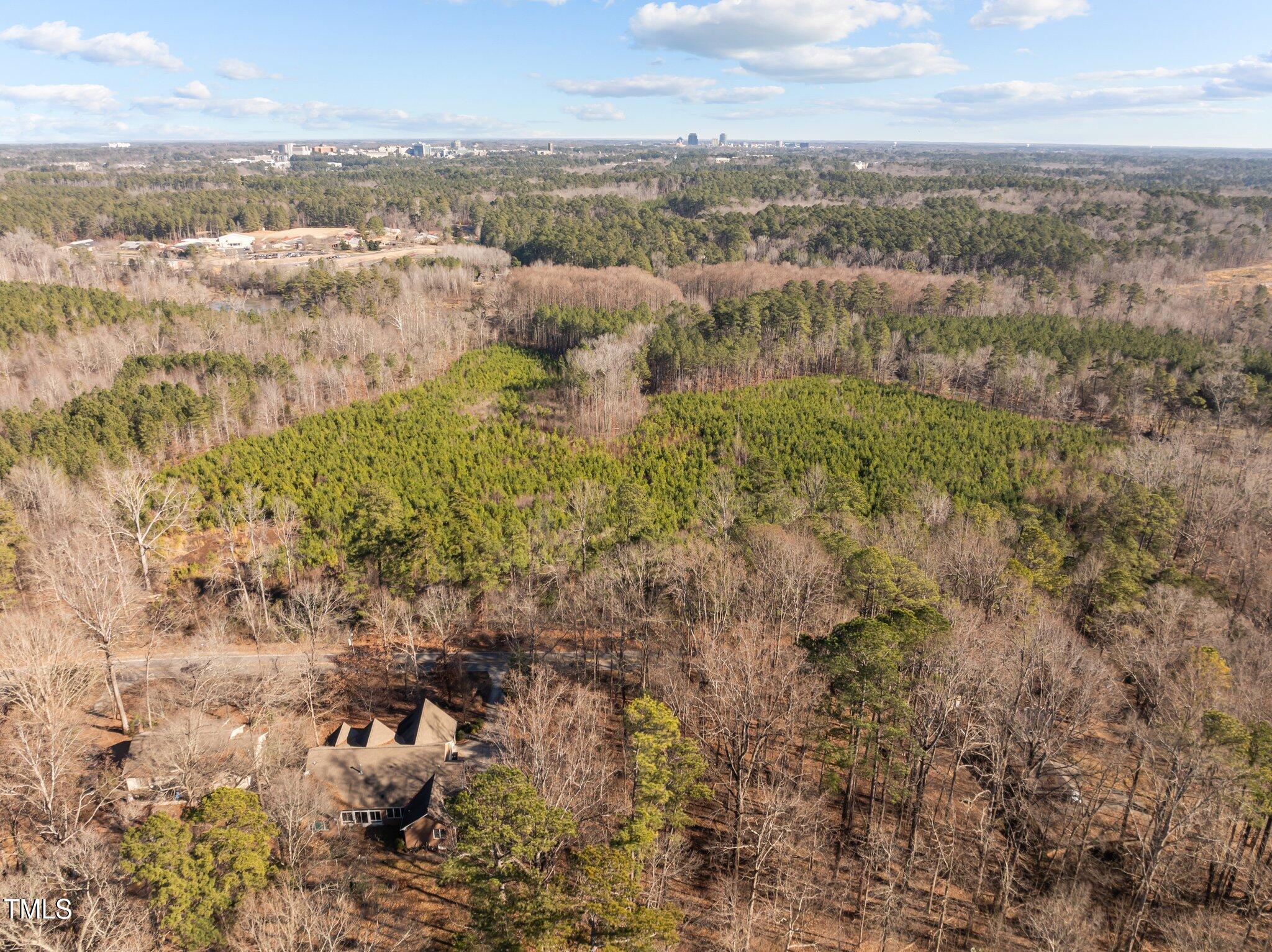 3207 W Cornwallis Road Property Photo 11