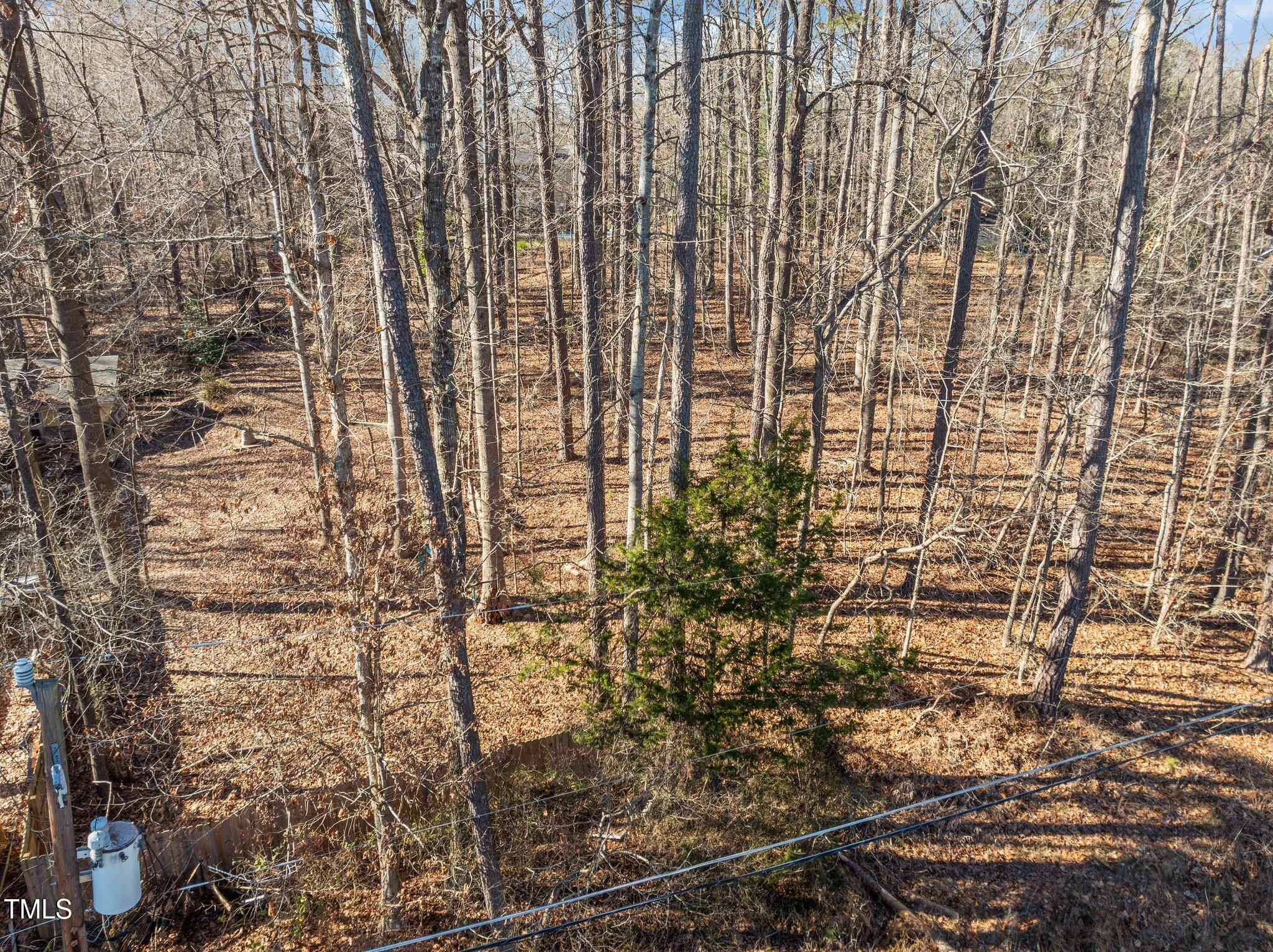 3205 W Cornwallis Road Property Photo 2