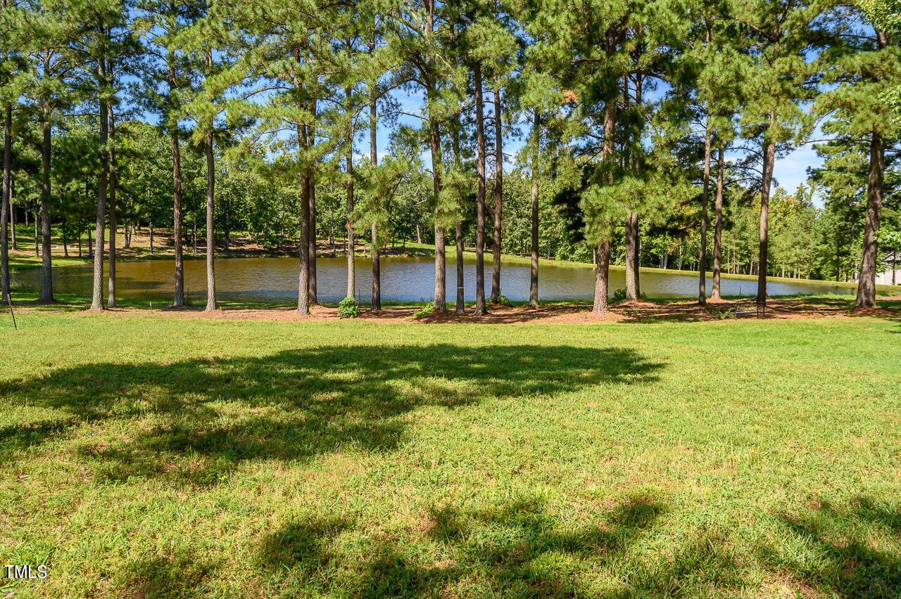 2223 Grove Hill Road Property Photo 27