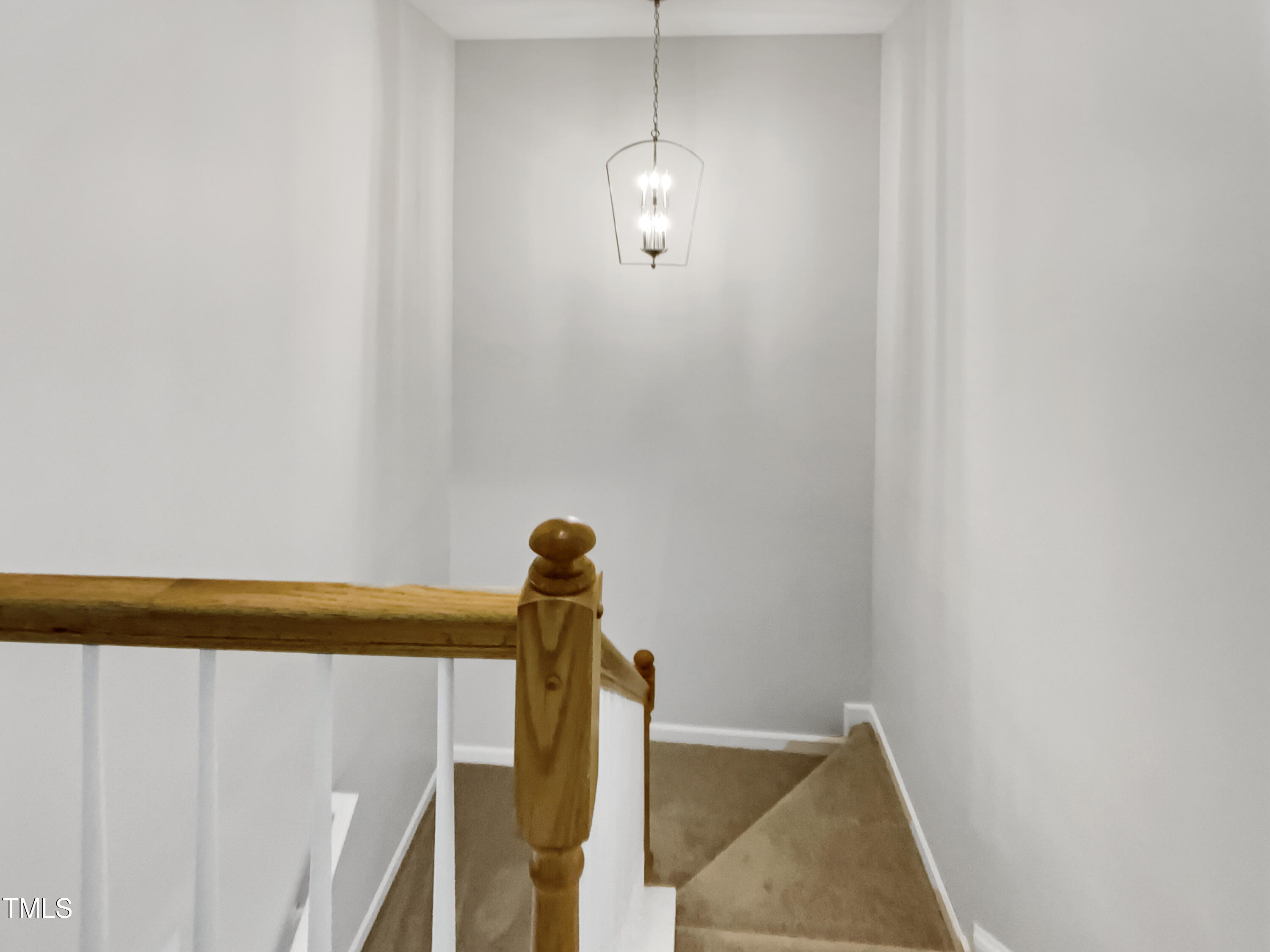 3743 Bison Hill Lane Property Photo 17