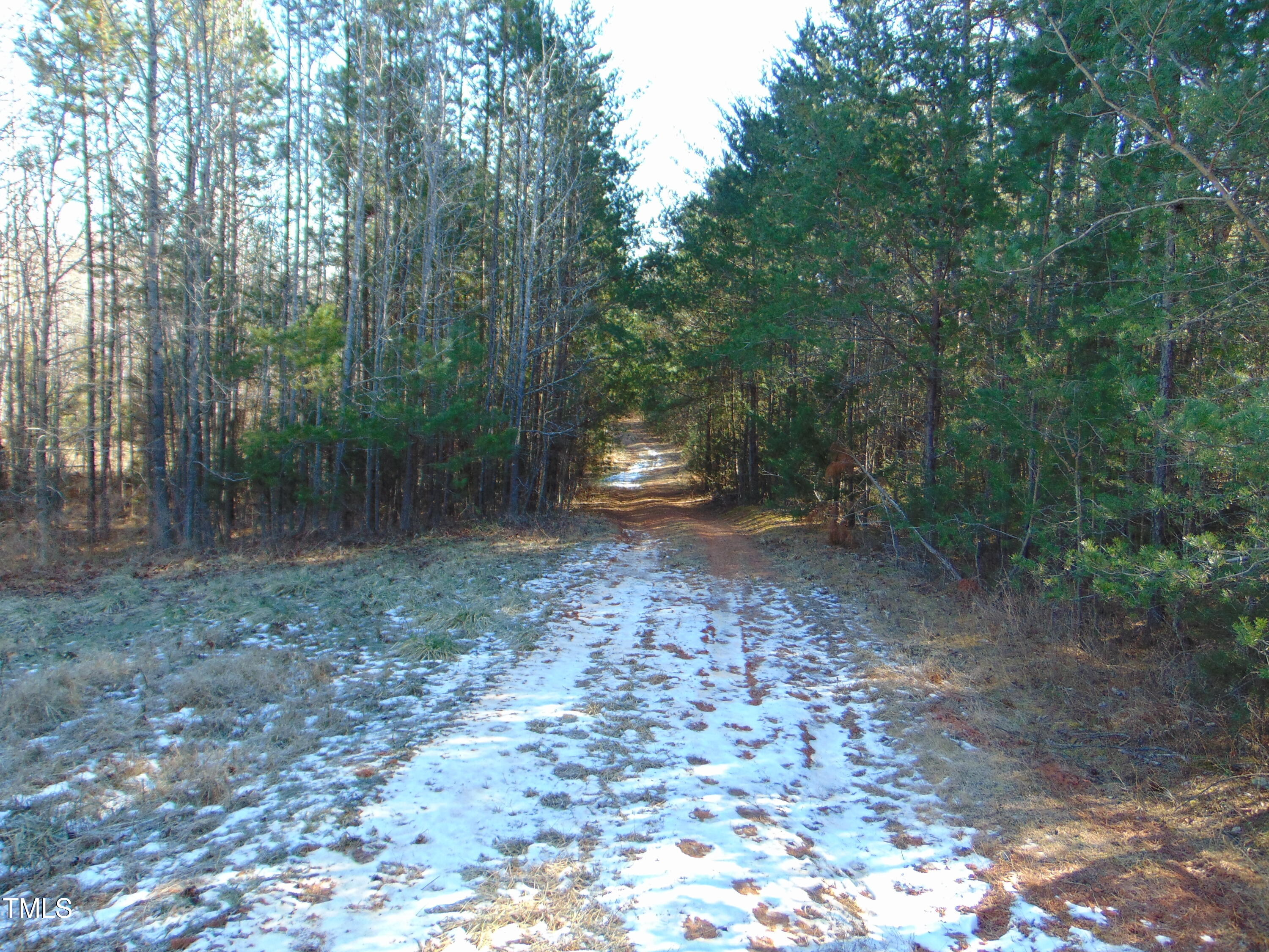 0 Twin Chimney Rd. Property Photo 9