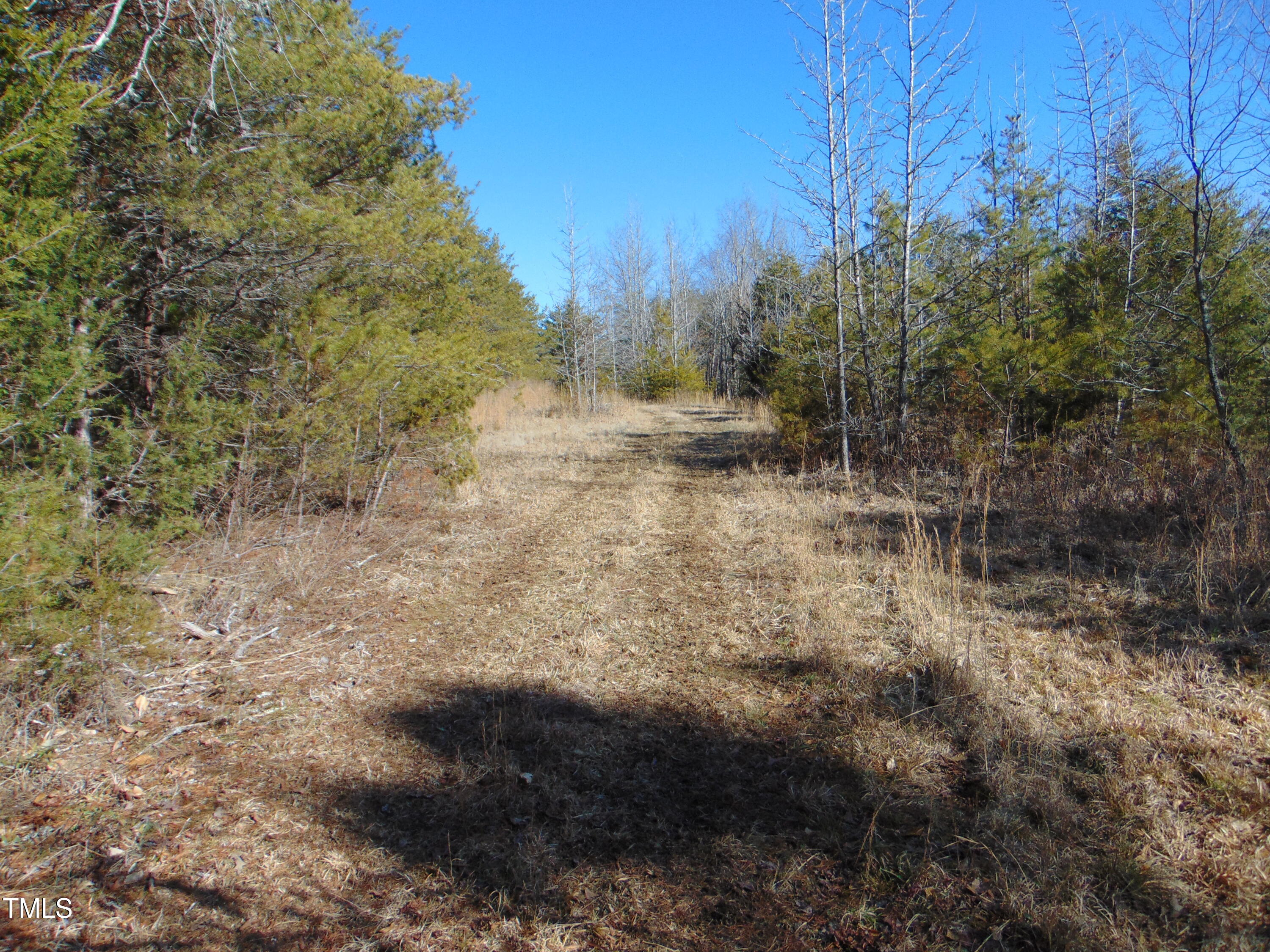 0 Twin Chimney Rd. Property Photo 10