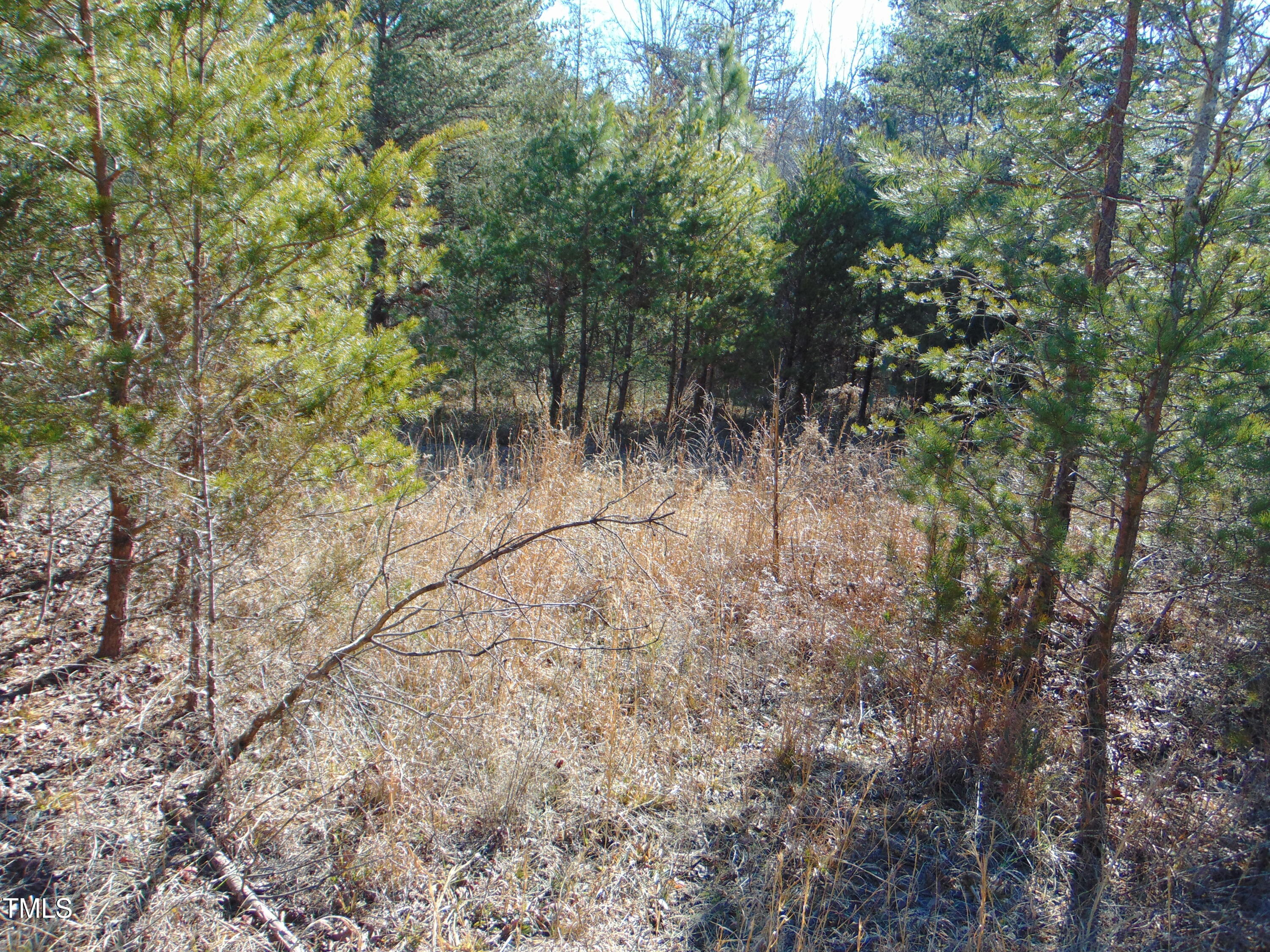 0 Twin Chimney Rd. Property Photo 11