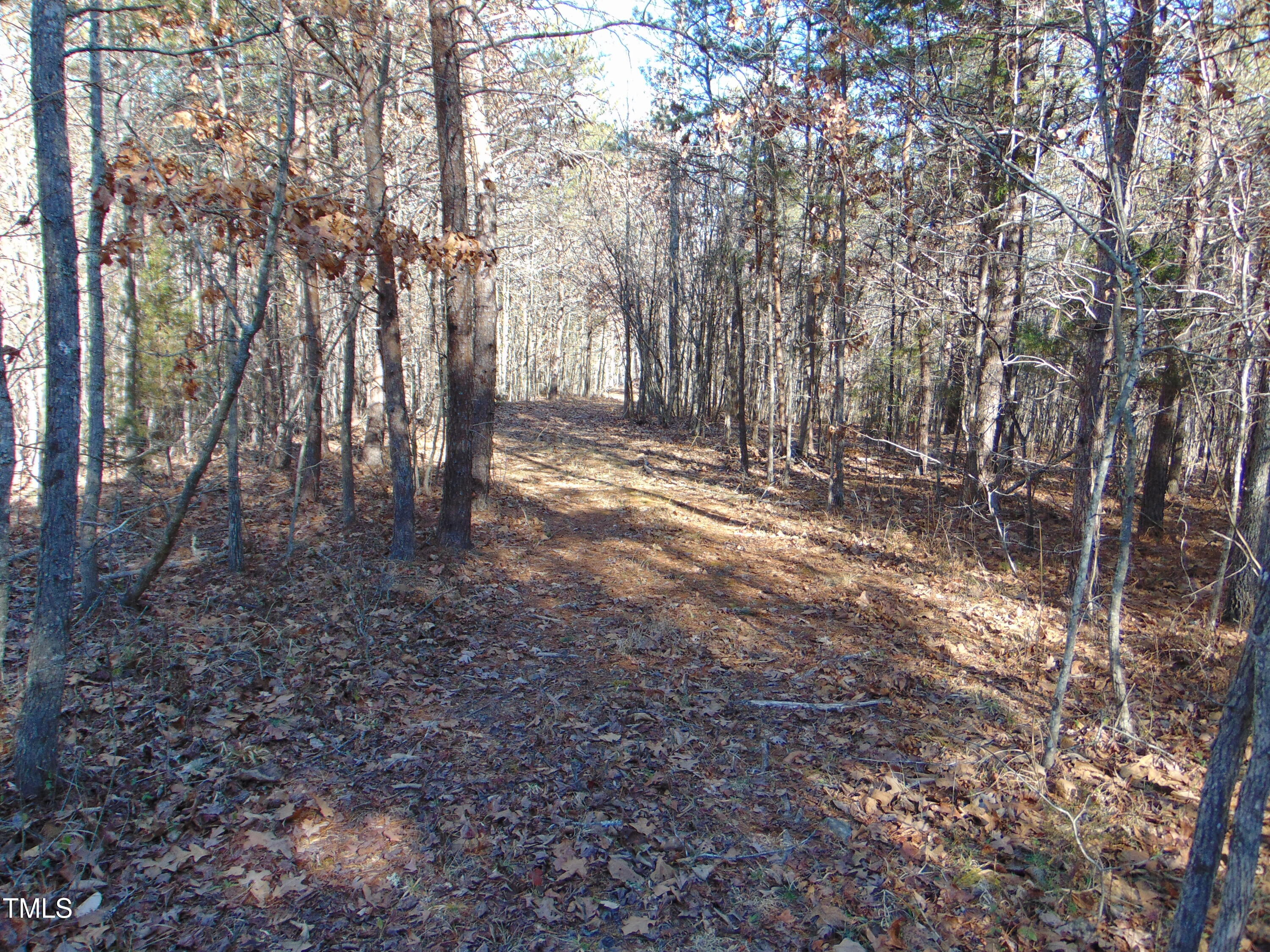 0 Twin Chimney Rd. Property Photo 16