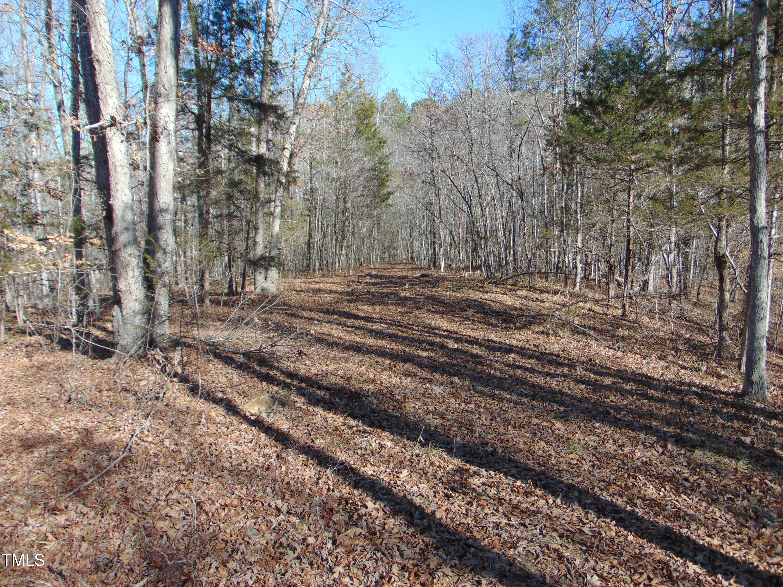 0 Twin Chimney Rd. Property Photo 18