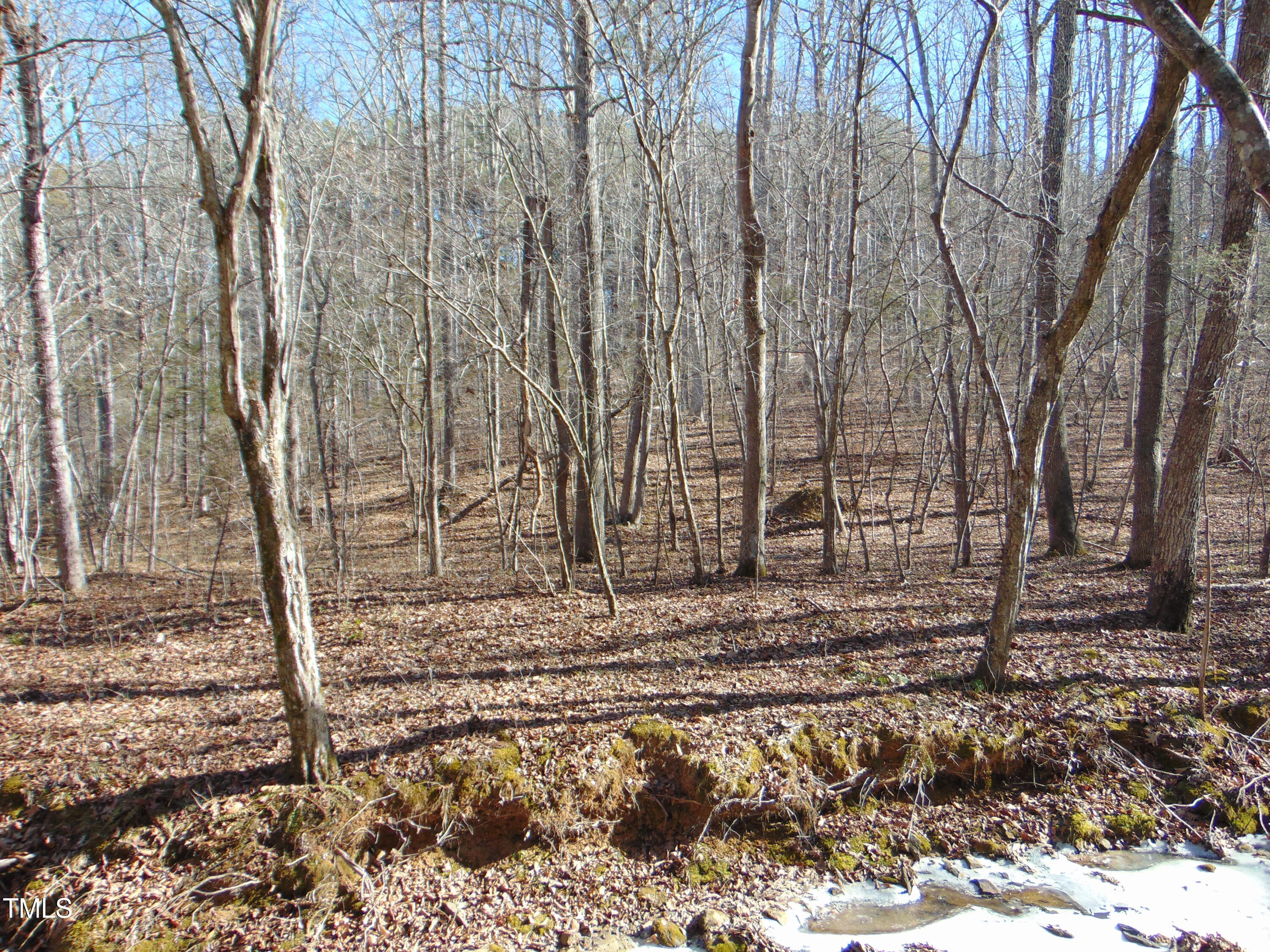 0 Twin Chimney Rd. Property Photo 20