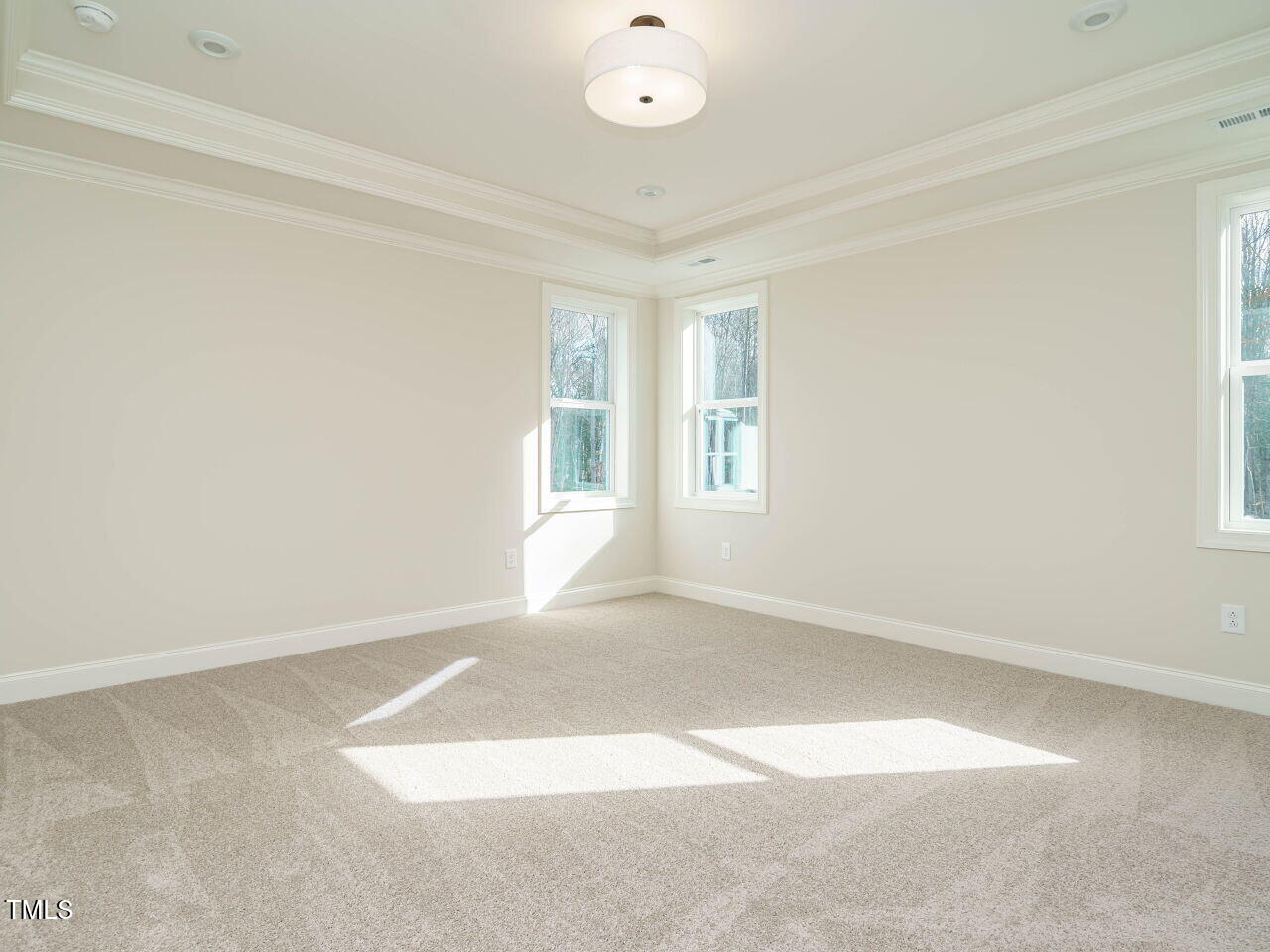 116 Bearwallow Forest Way Property Photo 23