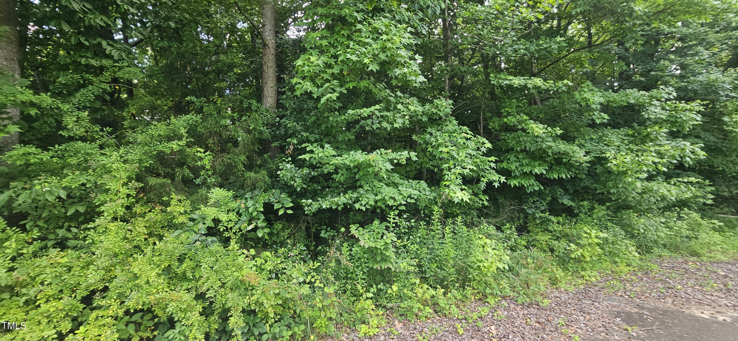 1194 Blackburn Road Property Photo 15