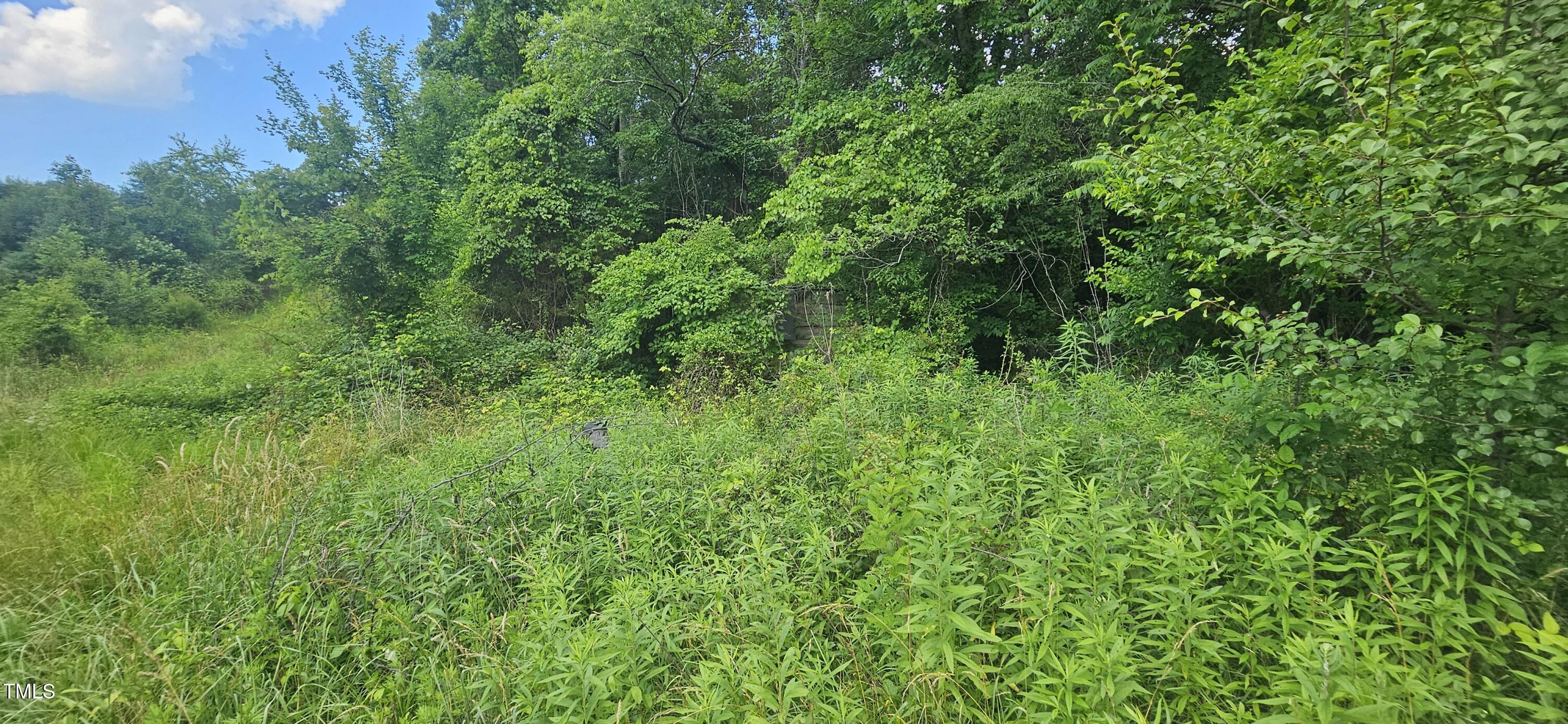 1194 Blackburn Road Property Photo 22