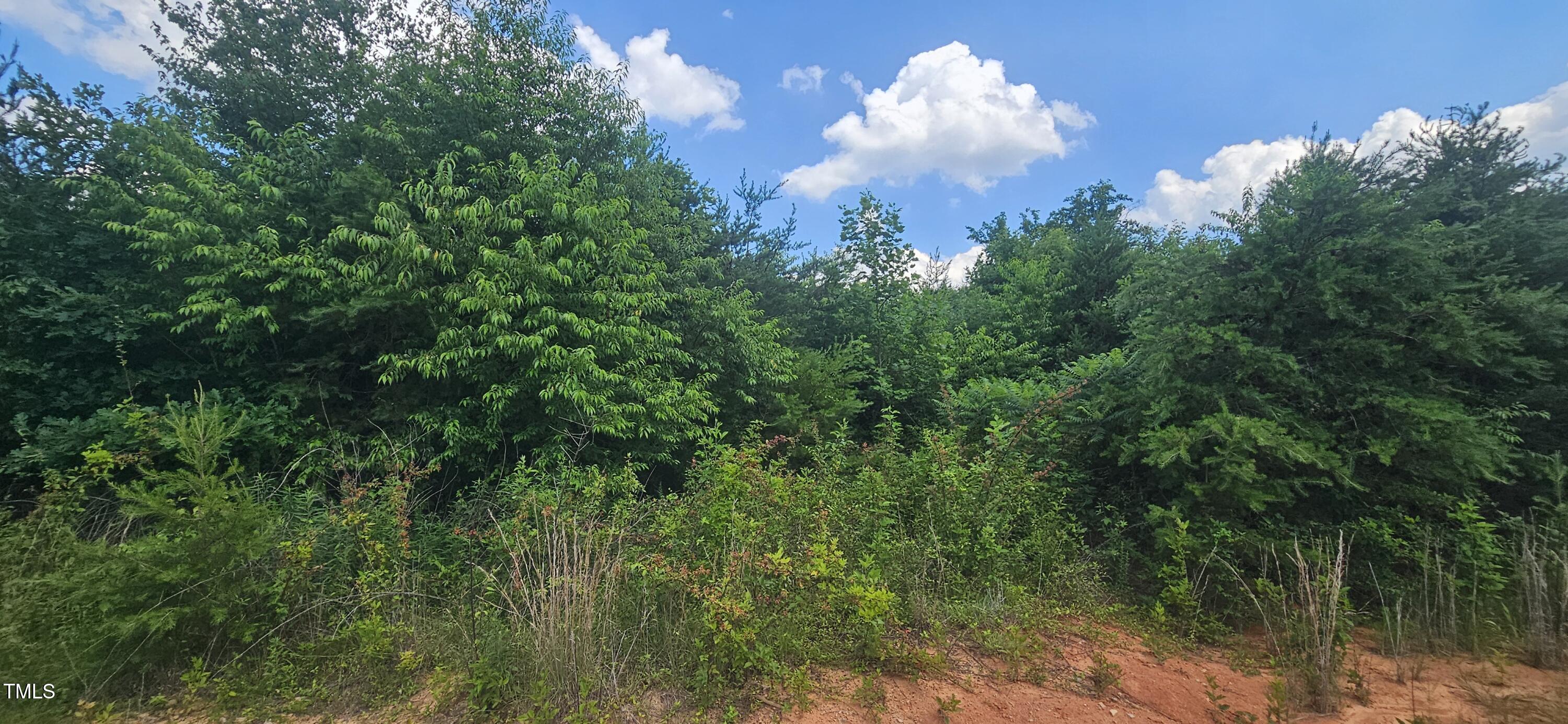 1194 Blackburn Road Property Photo 26