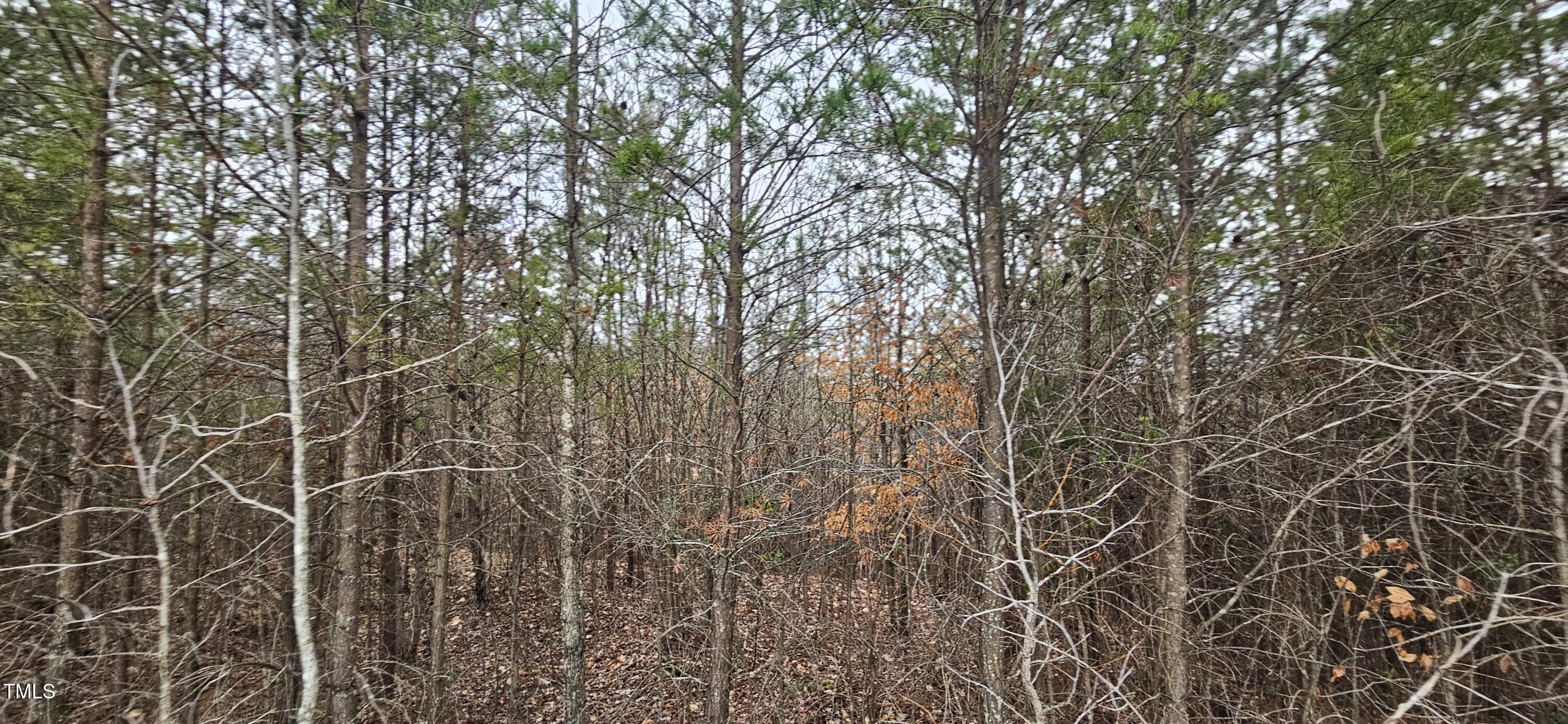 1194 Blackburn Road Property Photo 28