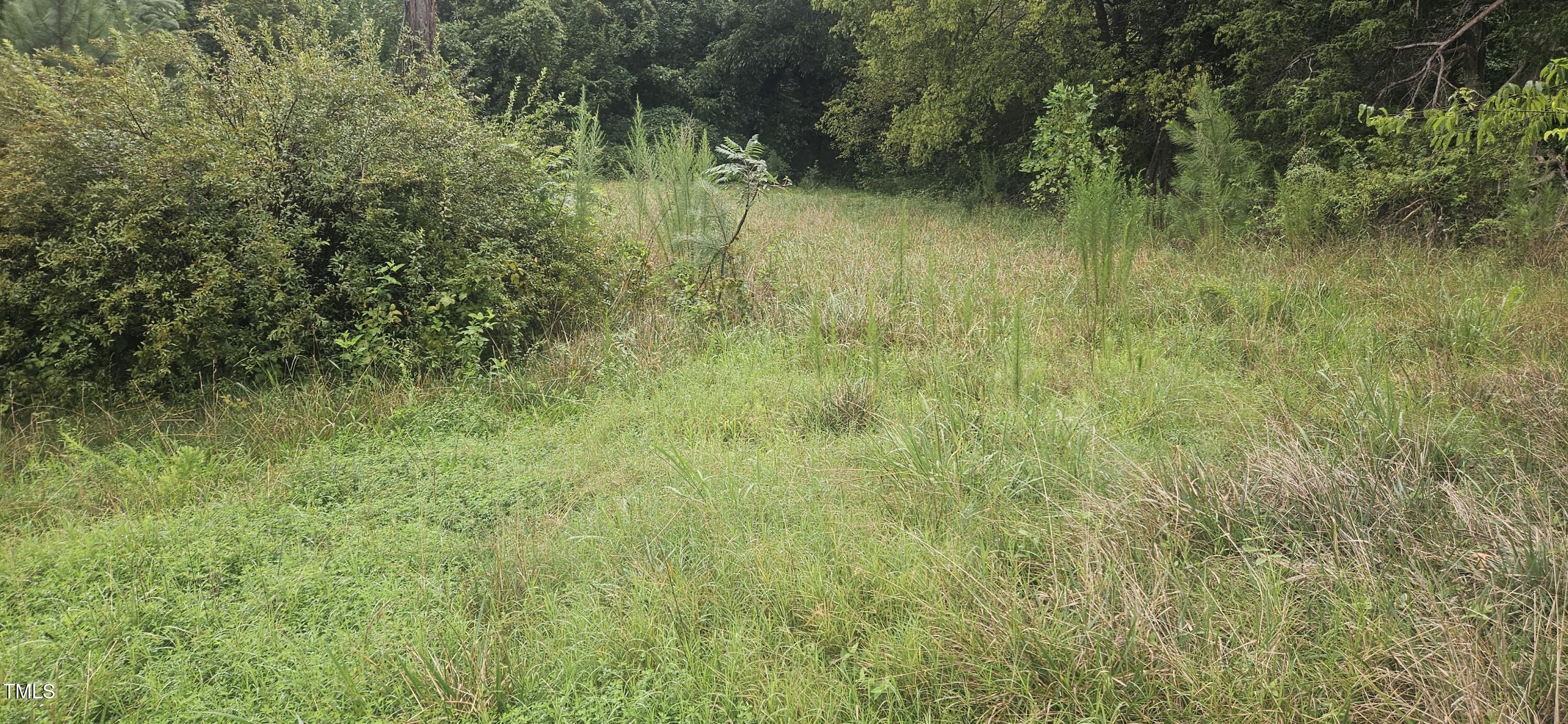 4944 Davis Road Property Photo 5