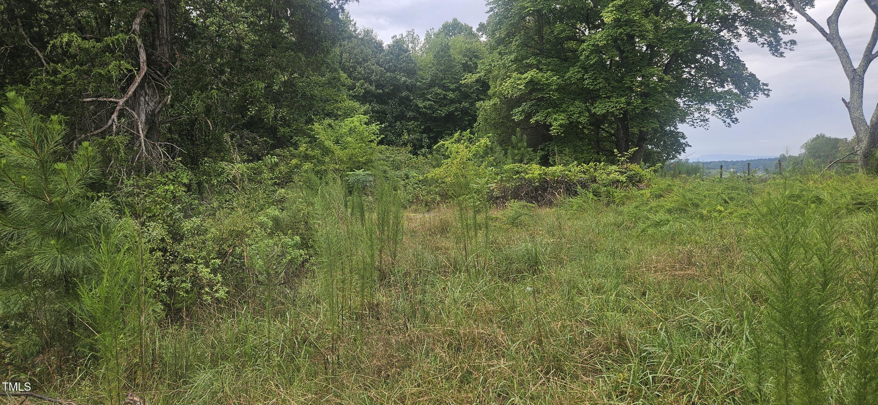 4944 Davis Road Property Photo 8