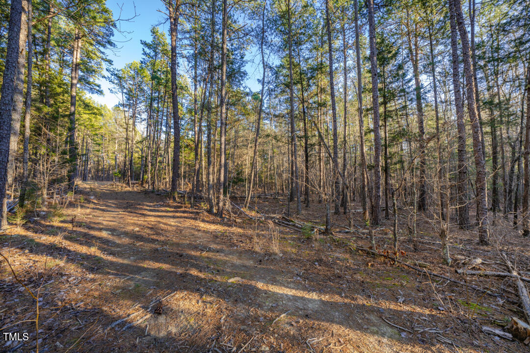 8596 Redding 1-b Road Property Photo 3