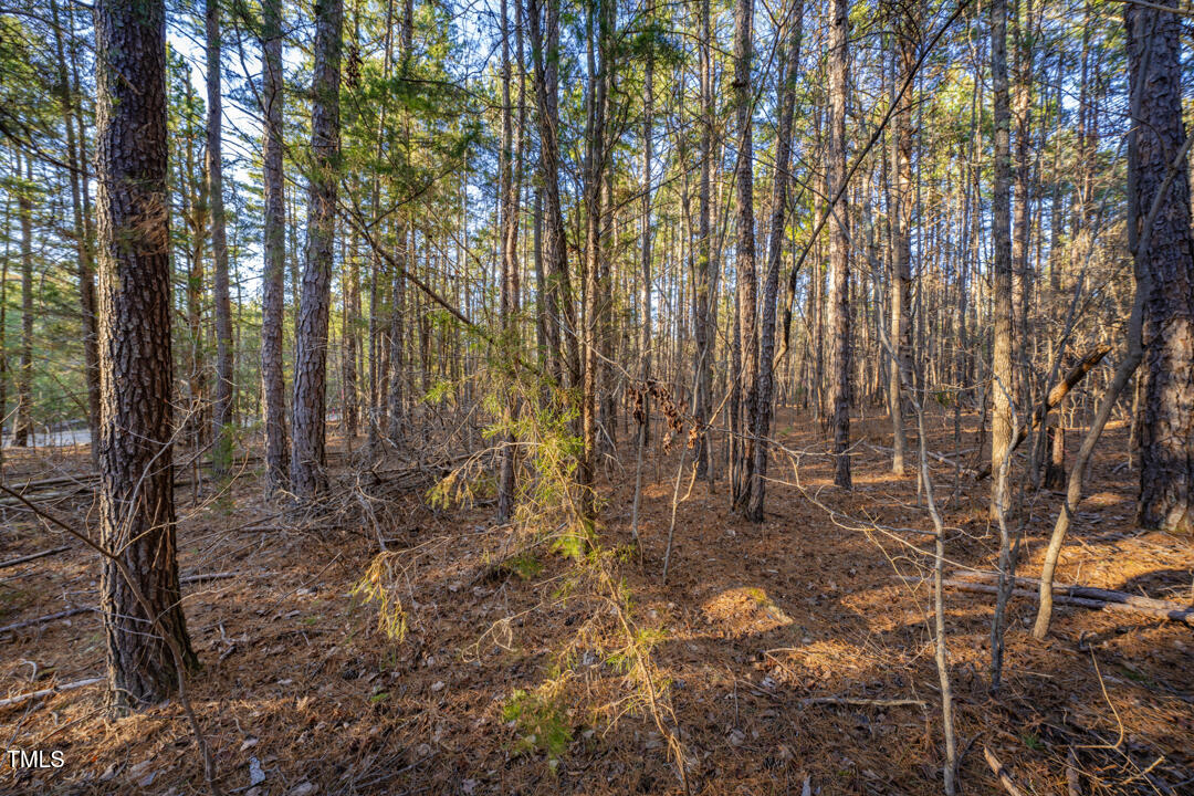 8596 Redding 1-b Road Property Photo 4