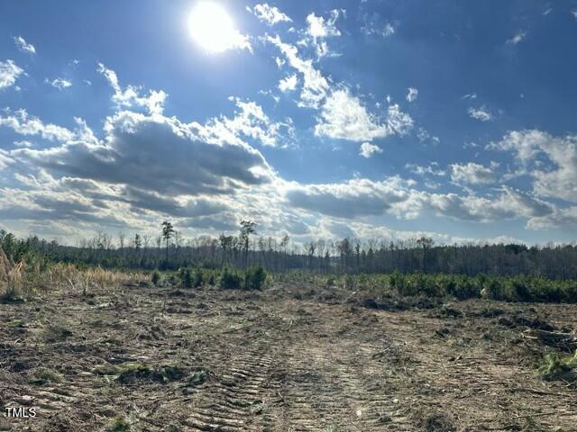 Lot 12 Good Shepherd Trail Property Photo 2