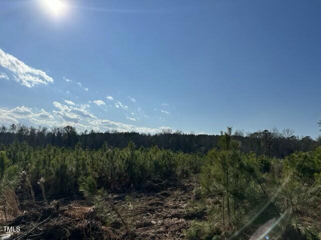 Lot 12 Good Shepherd Trail Property Photo 3