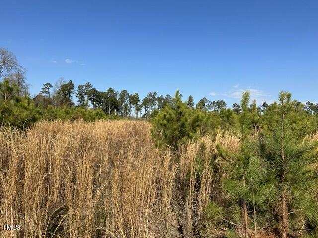 Lot 12 Good Shepherd Trail Property Photo 4