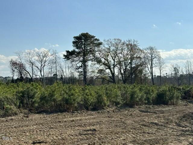 Lot 12 Good Shepherd Trail Property Photo 6