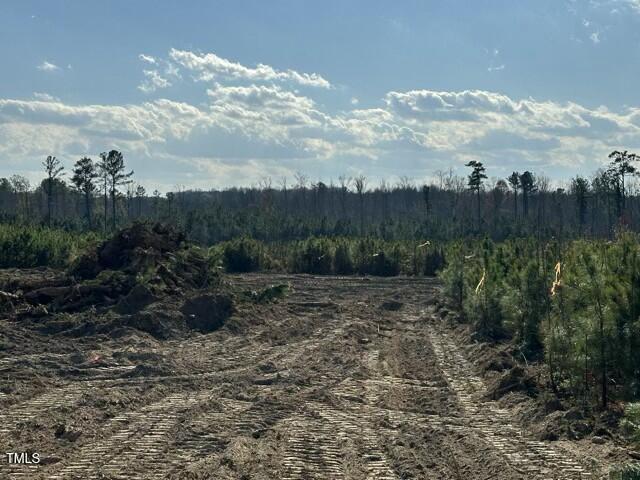 Lot 12 Good Shepherd Trail Property Photo 7