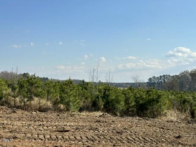 Lot 20 Good Shepherd Trail Property Photo 8