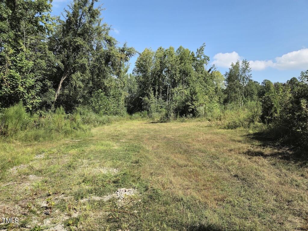 0 Taylor Farm Lane Property Photo 17