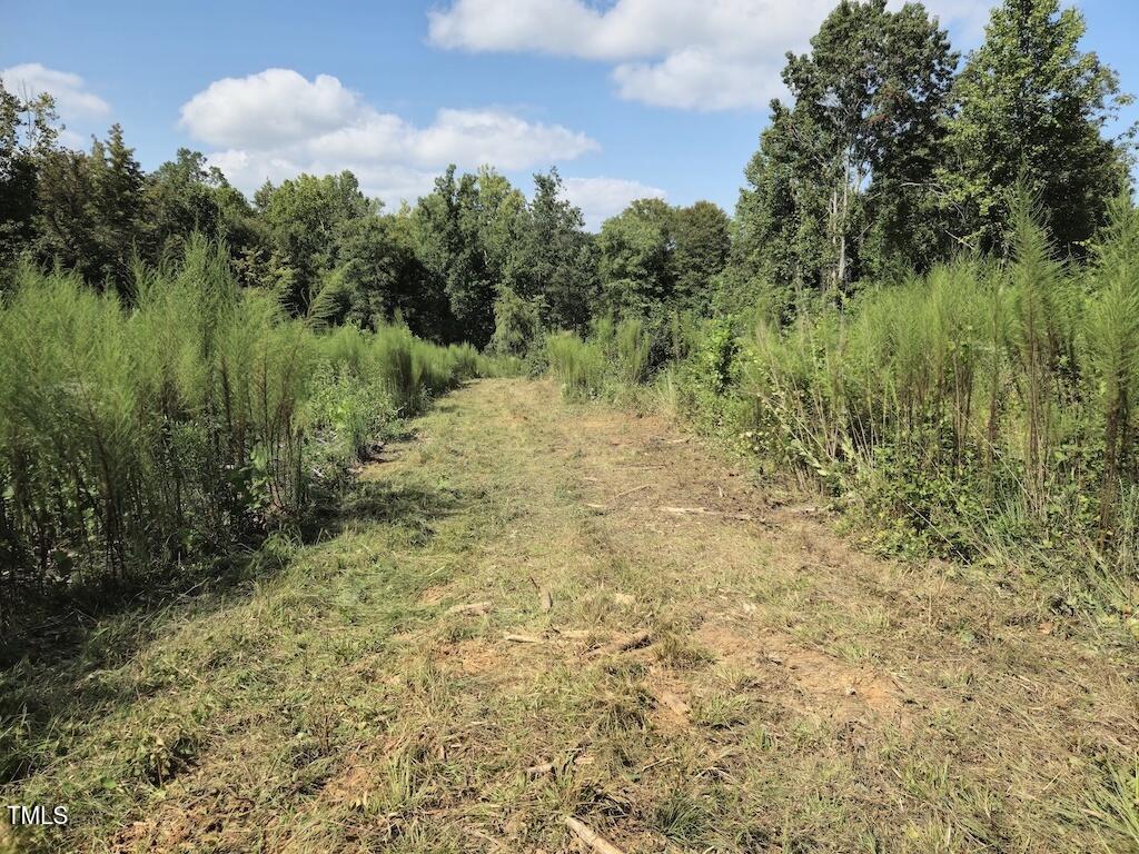 0 Taylor Farm Lane Property Photo 18