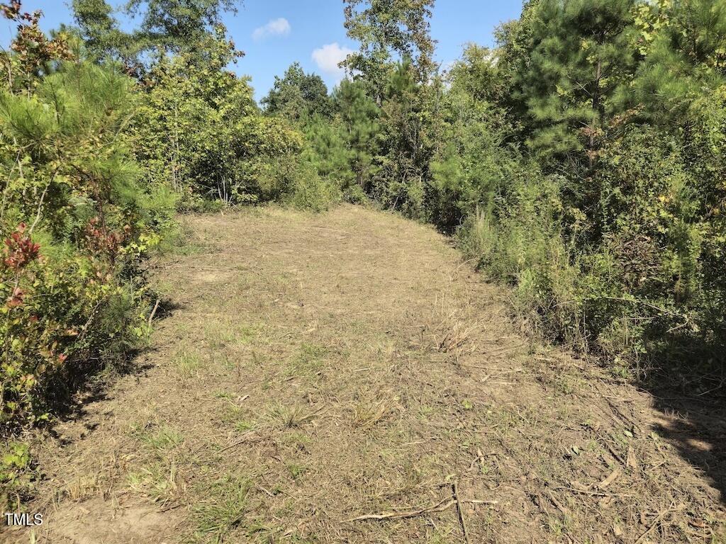 0 Taylor Farm Lane Property Photo 19