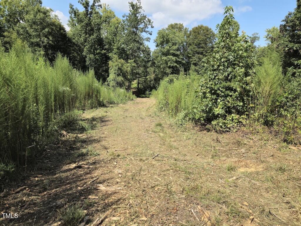 0 Taylor Farm Lane Property Photo 20