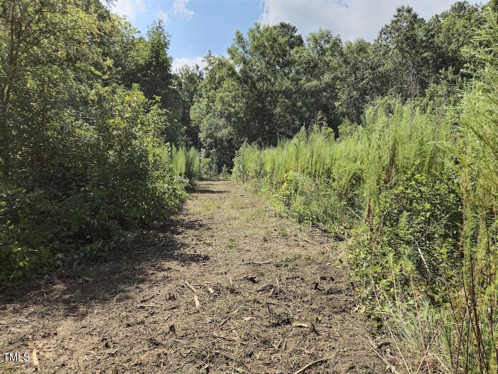 0 Taylor Farm Lane Property Photo 21